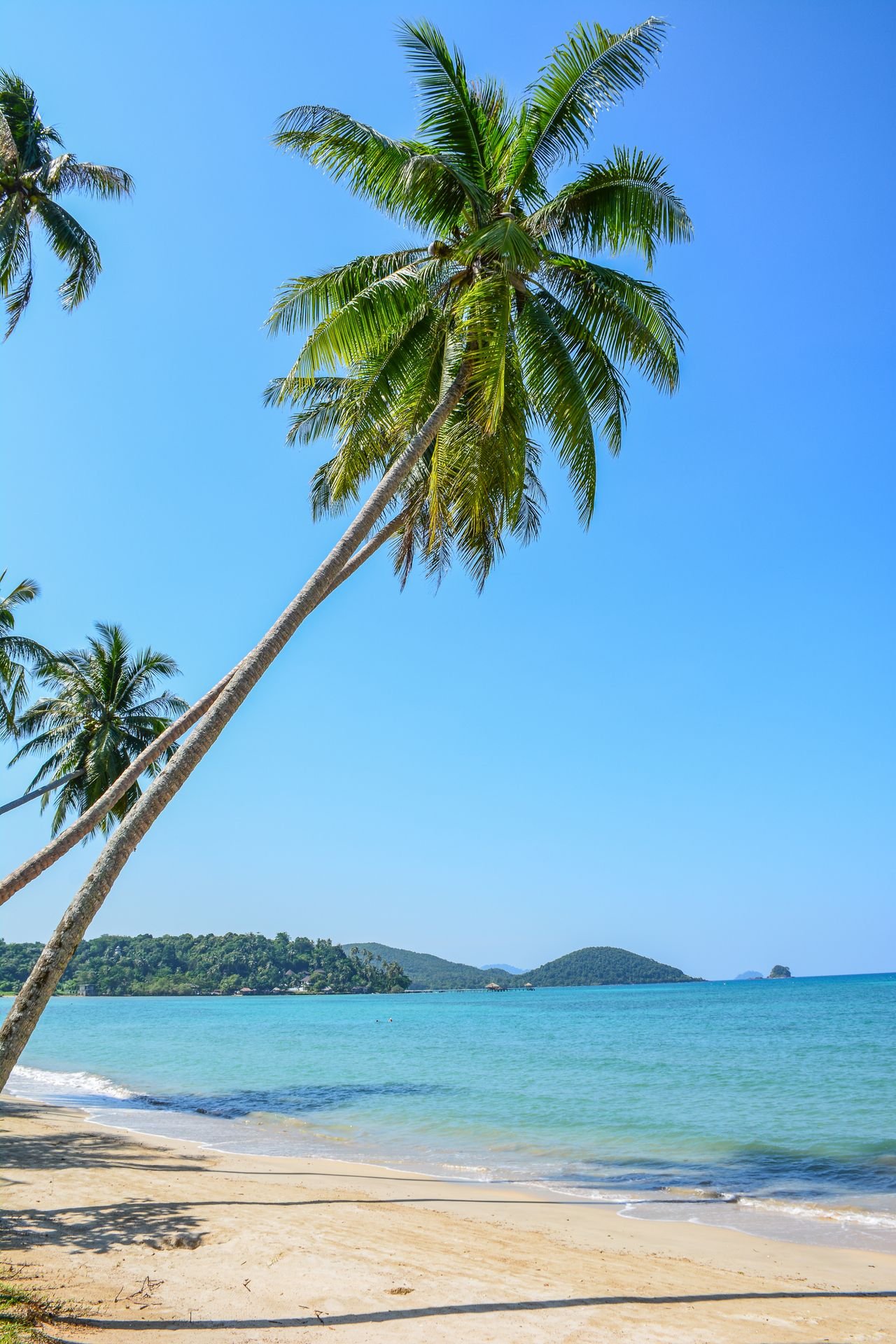 Goa