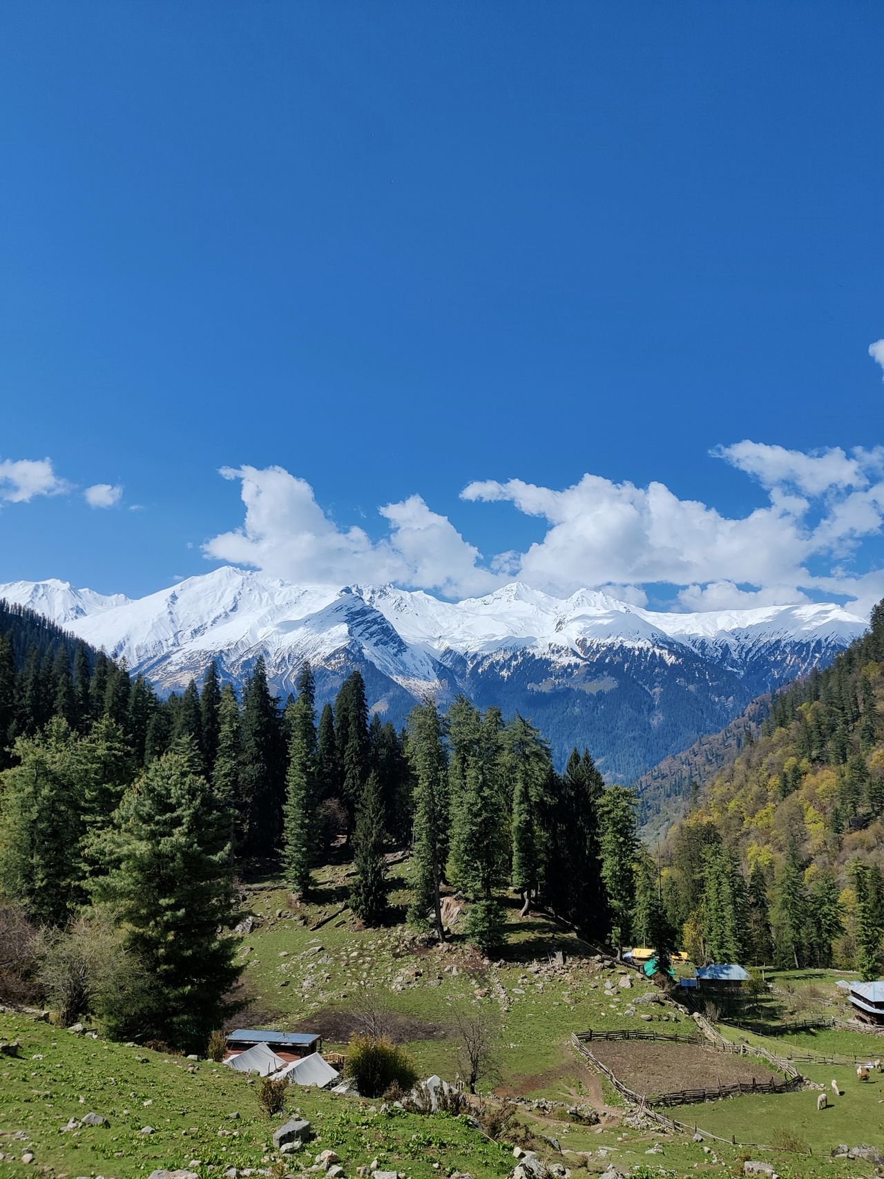 Himachal Pradesh