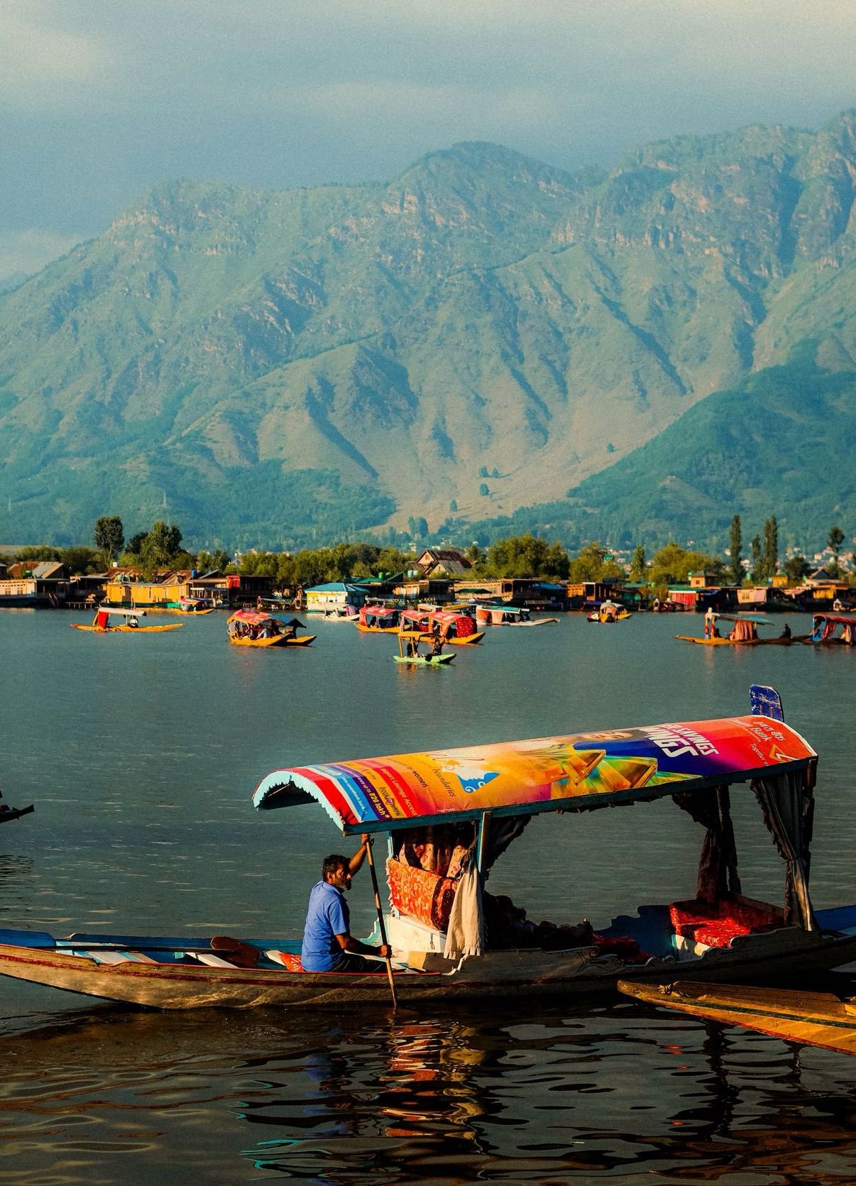 Kashmir Wonderland