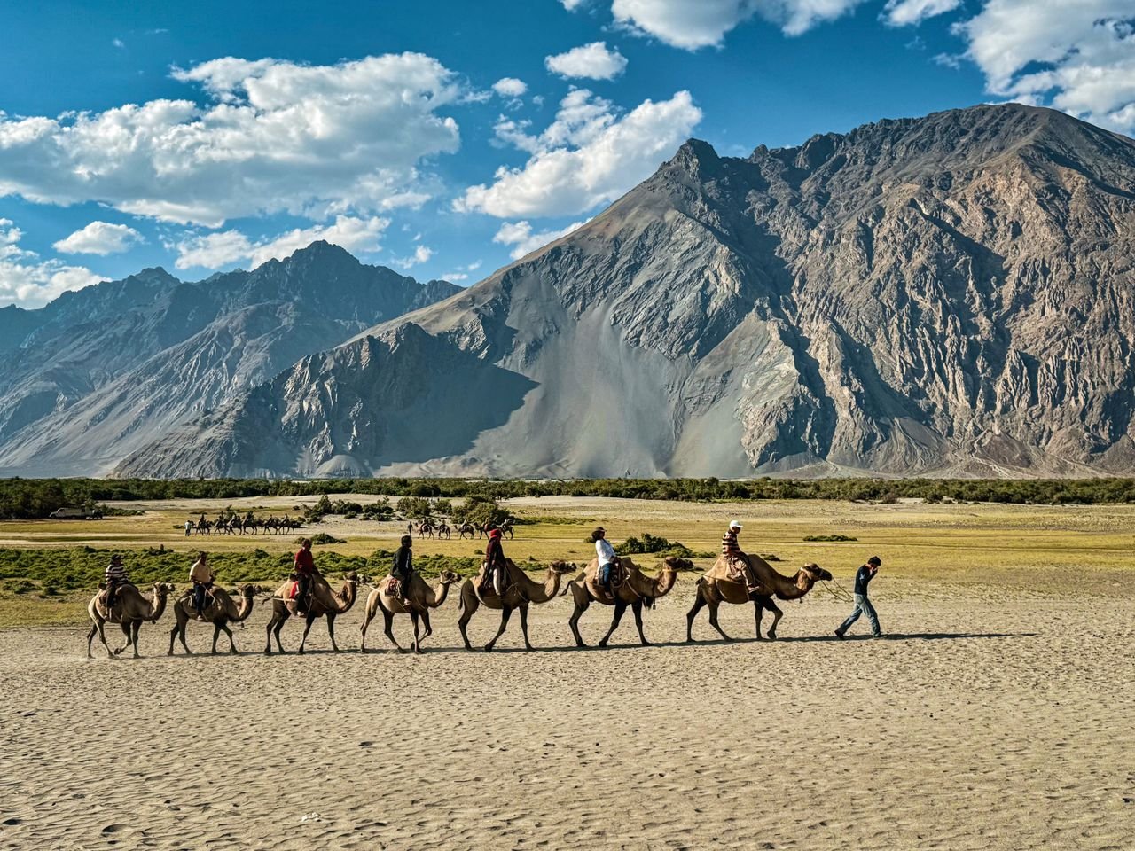 Nubra & Pangong Journey
